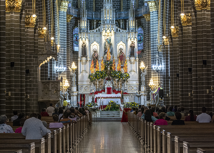 Interior de la Basílica Menor de la Inmaculada Concepción, Jardín